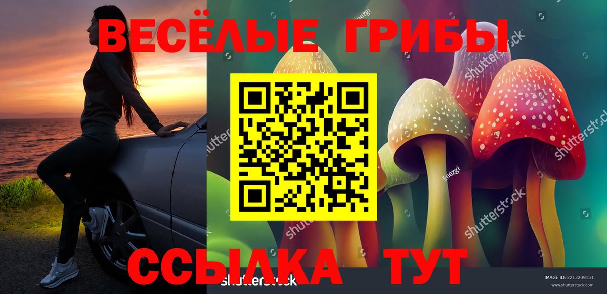 Камень-на-Оби  Галлюциногенные грибы GOLDEN TEACHER  Вход с VPN 